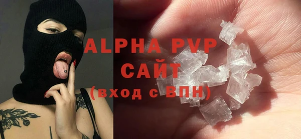шишки Бердск