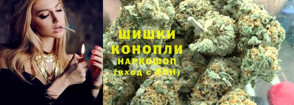 шишки Бердск