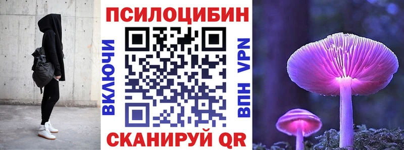 Галлюциногенные грибы мухоморы  как найти   мориарти формула  Чаплыгин 